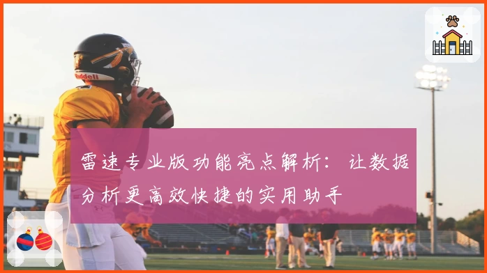 雷速专业版功能亮点解析：让数据分析更高效快捷的实用助手