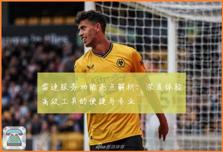 雷速服务功能亮点解析:深度体验高效工具的便捷与专业