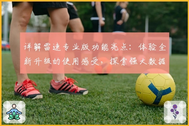 详解雷速专业版功能亮点：体验全新升级的使用感受，探索强大数据分析魅力